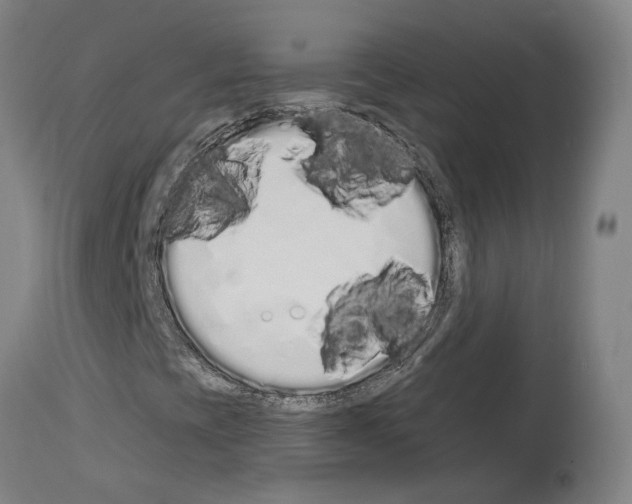 X0000114031393200911131239