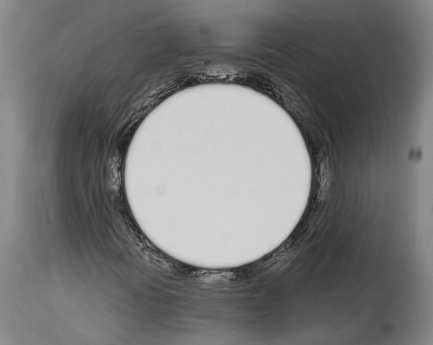 X0000114031394200911131239