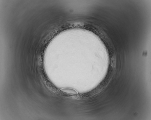 X0000114031395200911131239