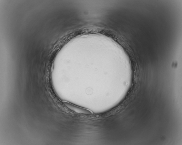 X0000114031397200911131239