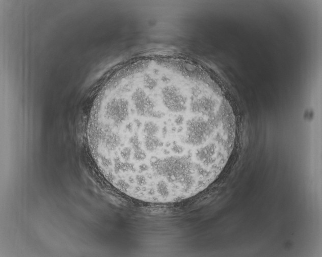 X0000114031399200911131239