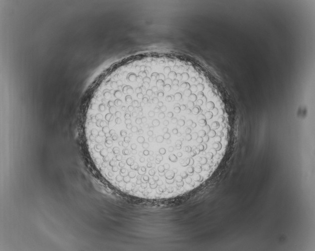 X0000114031400200911131239