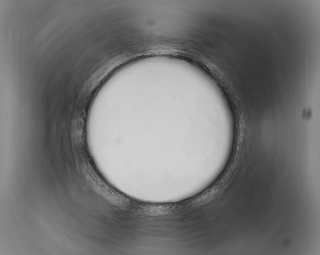 X0000114031401200911131239