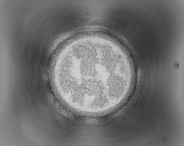 X0000114031405200911131239