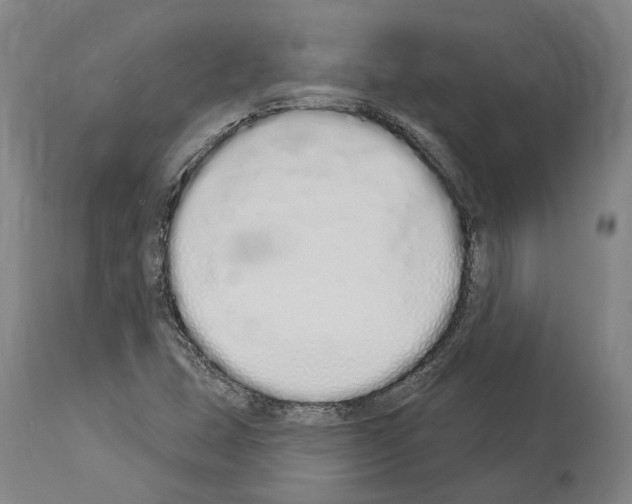 X0000114031407200911131239