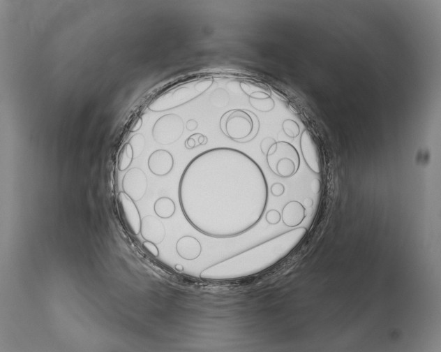 X0000114031408200911131239