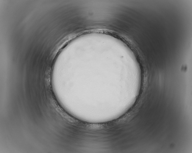 X0000114031409200911131239