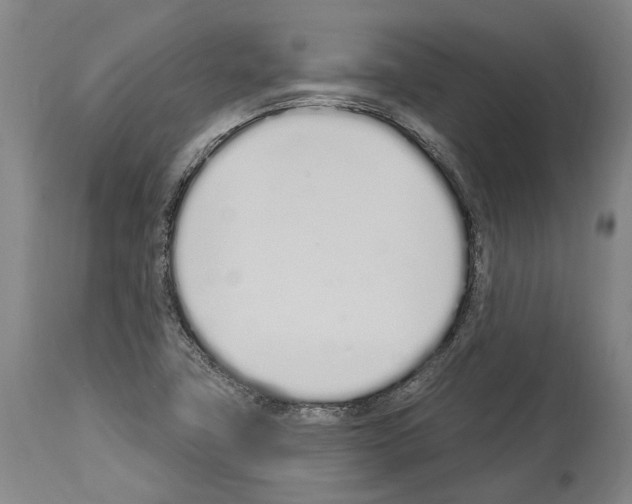 X0000114031411200911131239