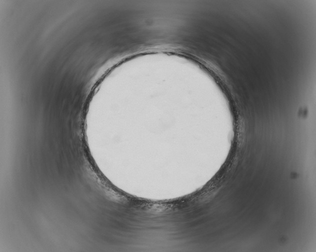 X0000114031412200911131239