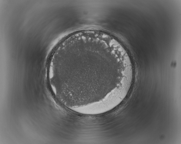 X0000114031414200911131239