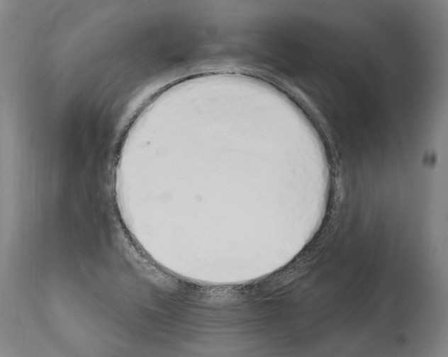 X0000114031416200911131239