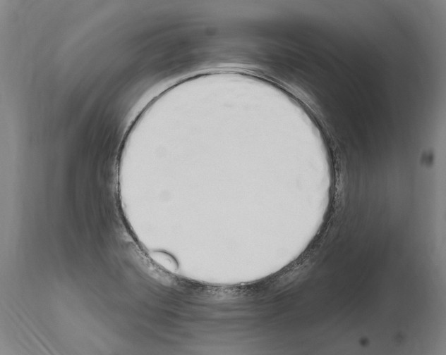 X0000114031420200911131239