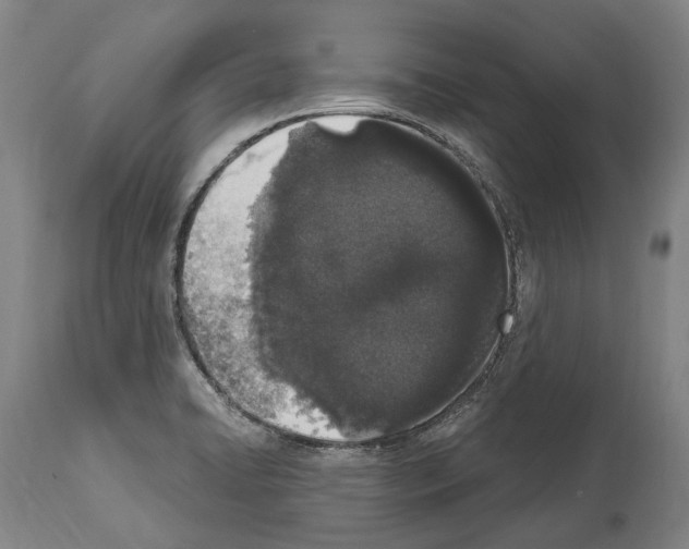 X0000114031422200911131239