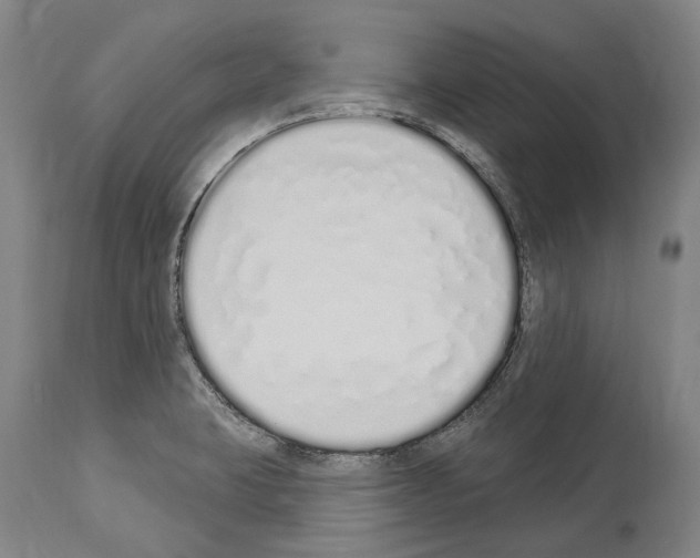 X0000114031423200911131239