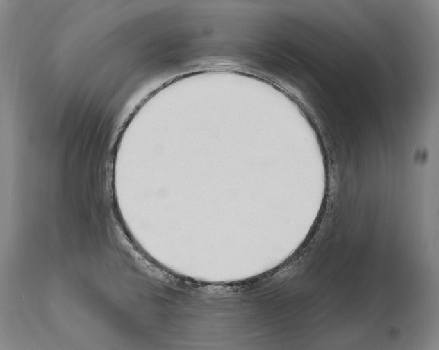 X0000114031424200911131239