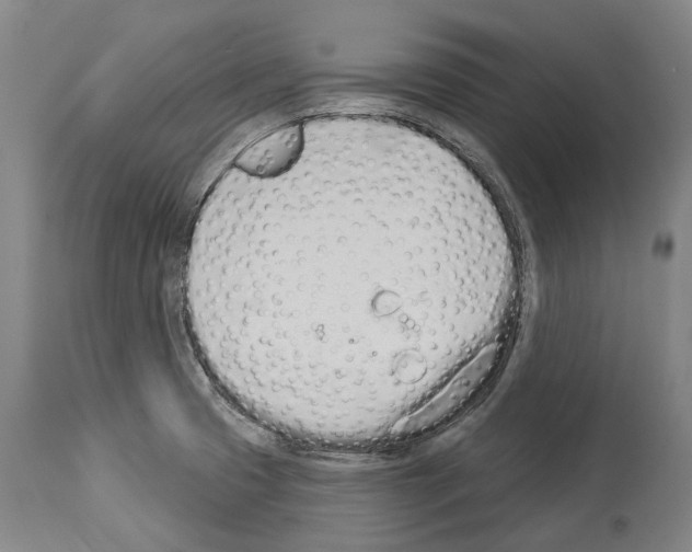 X0000114031425200911131239