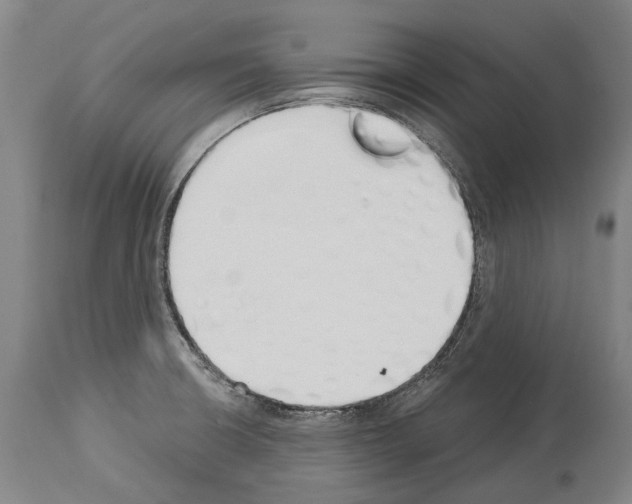 X0000114031426200911131239