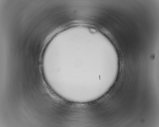 X0000114031427200911131239