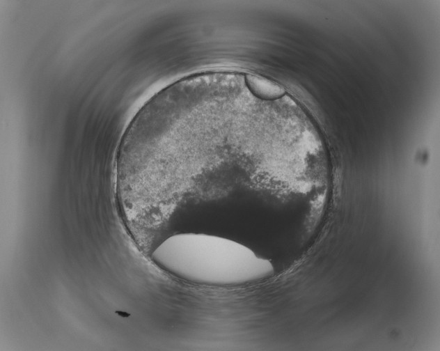 X0000114031428200911131239