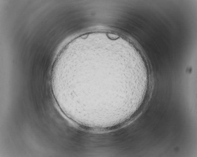 X0000114031429200911131239