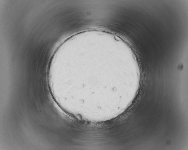 X0000114031430200911131239