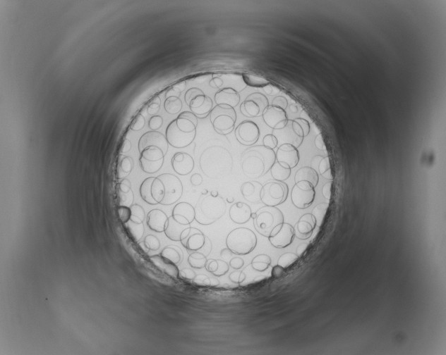 X0000114031432200911131239