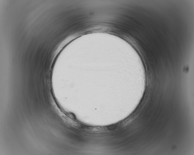 X0000114031434200911131239