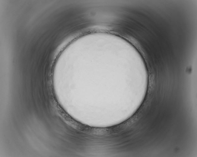 X0000114031435200911131239