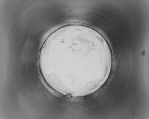 X0000114031437200911131239