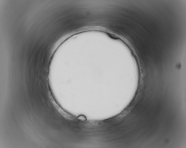 X0000114031438200911131239