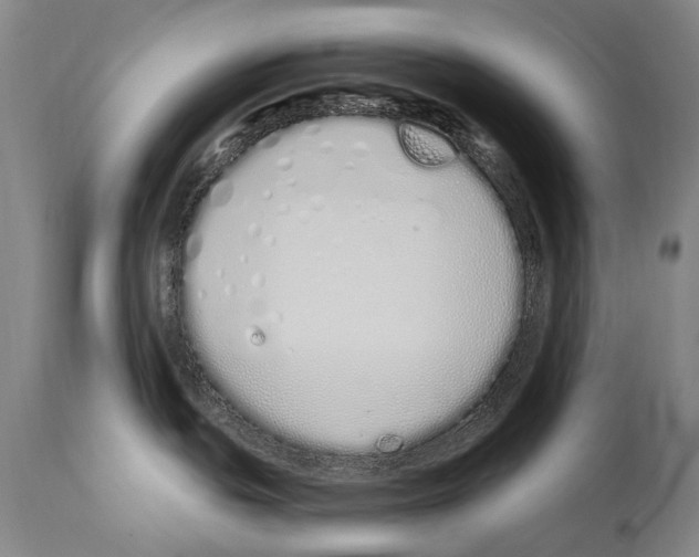 X0000114031439200911131239