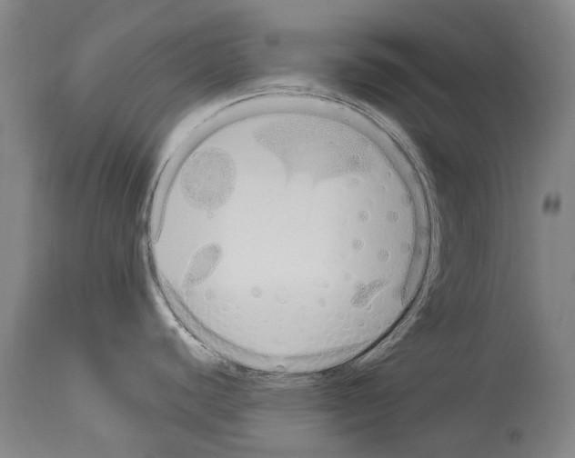 X0000114031440200911131239