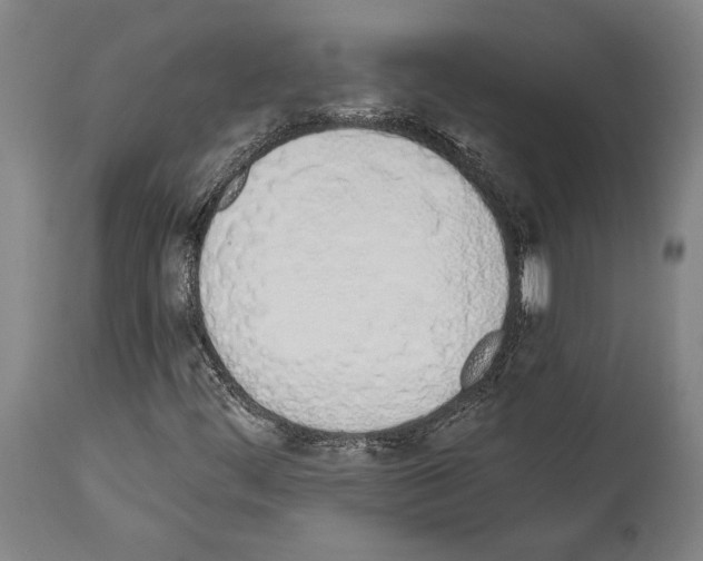 X0000114031444200911131238