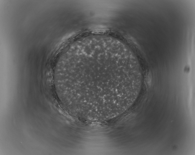 X0000114031445200911131238