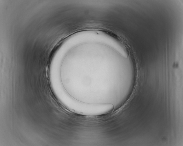 X0000114031449200911131238