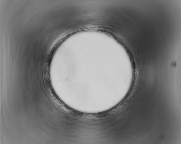 X0000114031450200911131238