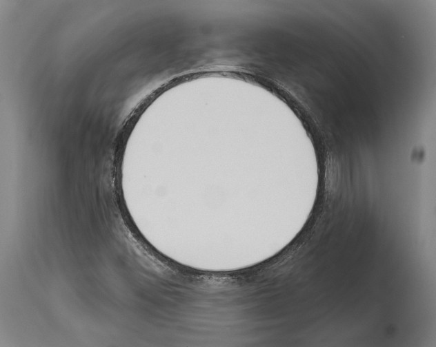 X0000114031452200911131238