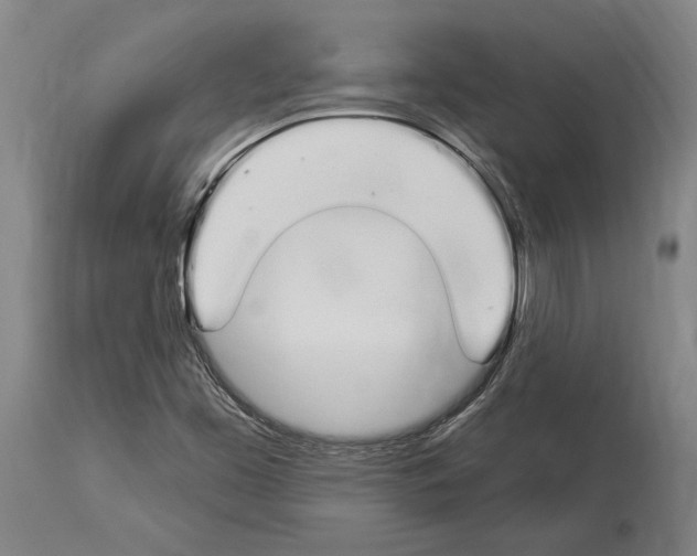 X0000114031453200911131238