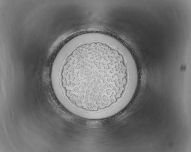 X0000114031454200911131238