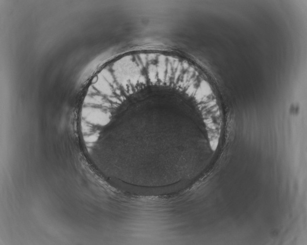 X0000114031455200911131238