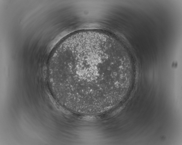 X0000114031457200911131238