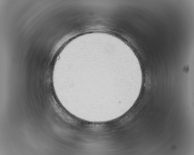 X0000114031458200911131238