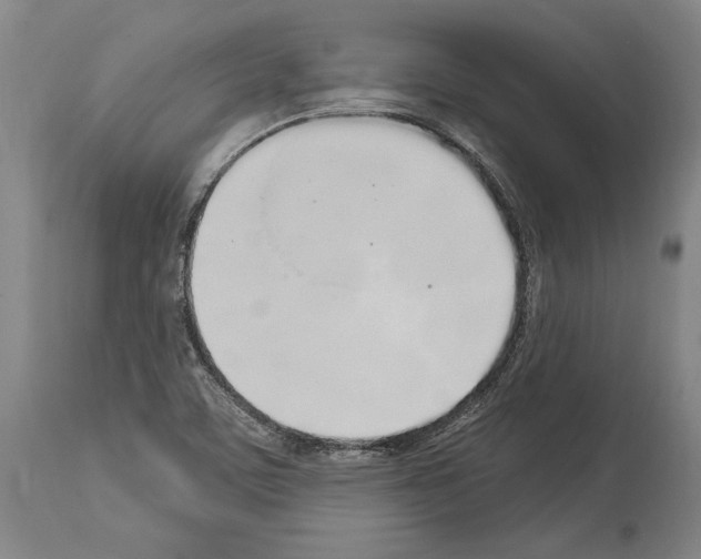 X0000114031459200911131238