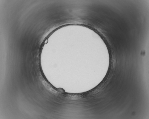 X0000114031460200911131238