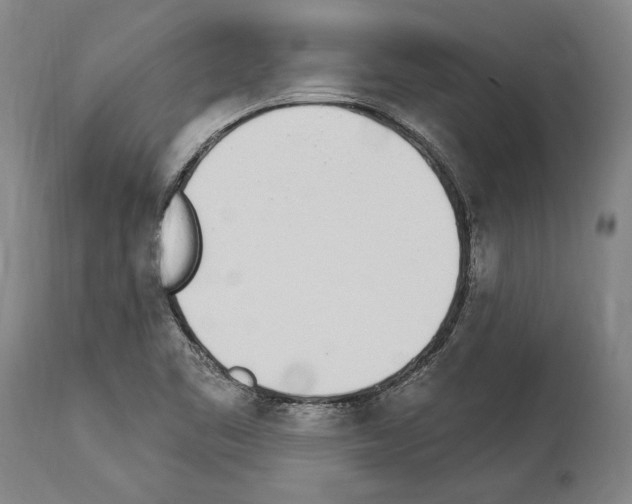 X0000114031461200911131238