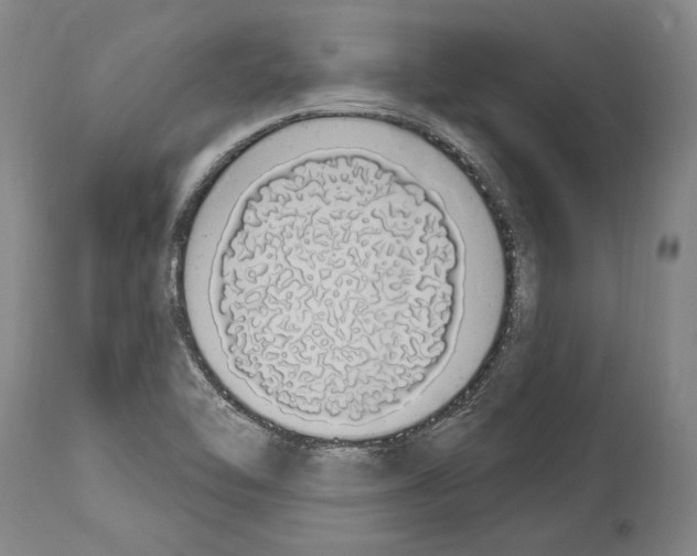 X0000114031462200911131238