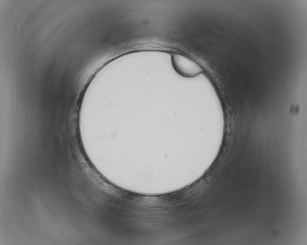 X0000114031463200911131238