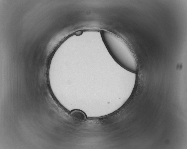 X0000114031464200911131238