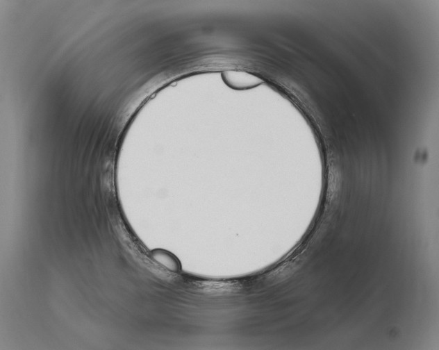 X0000114031465200911131238