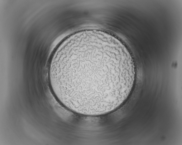 X0000114031466200911131238